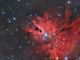 NGC 2264 - Nebulosa Cono